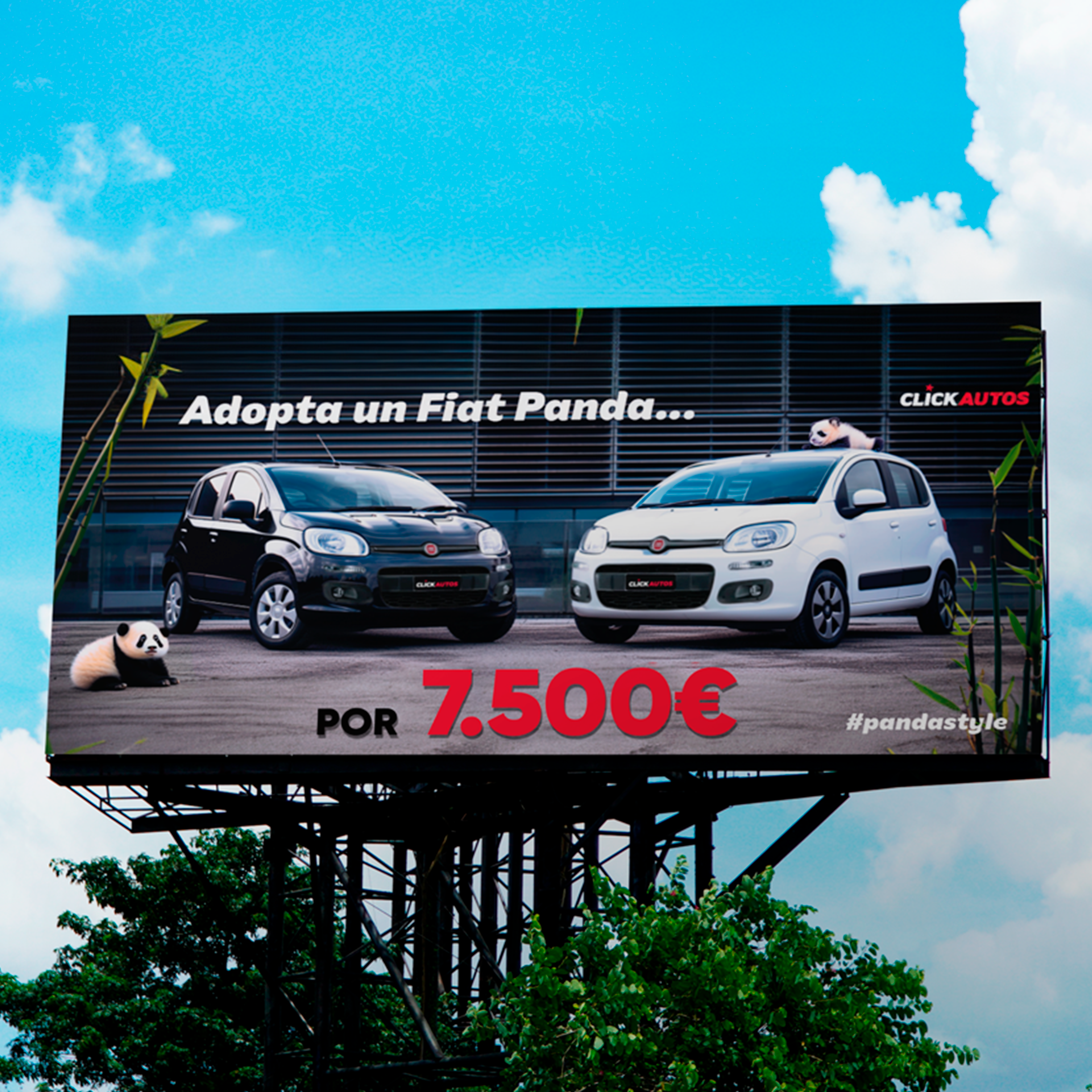 Diseño Gráfico - Imagen 5