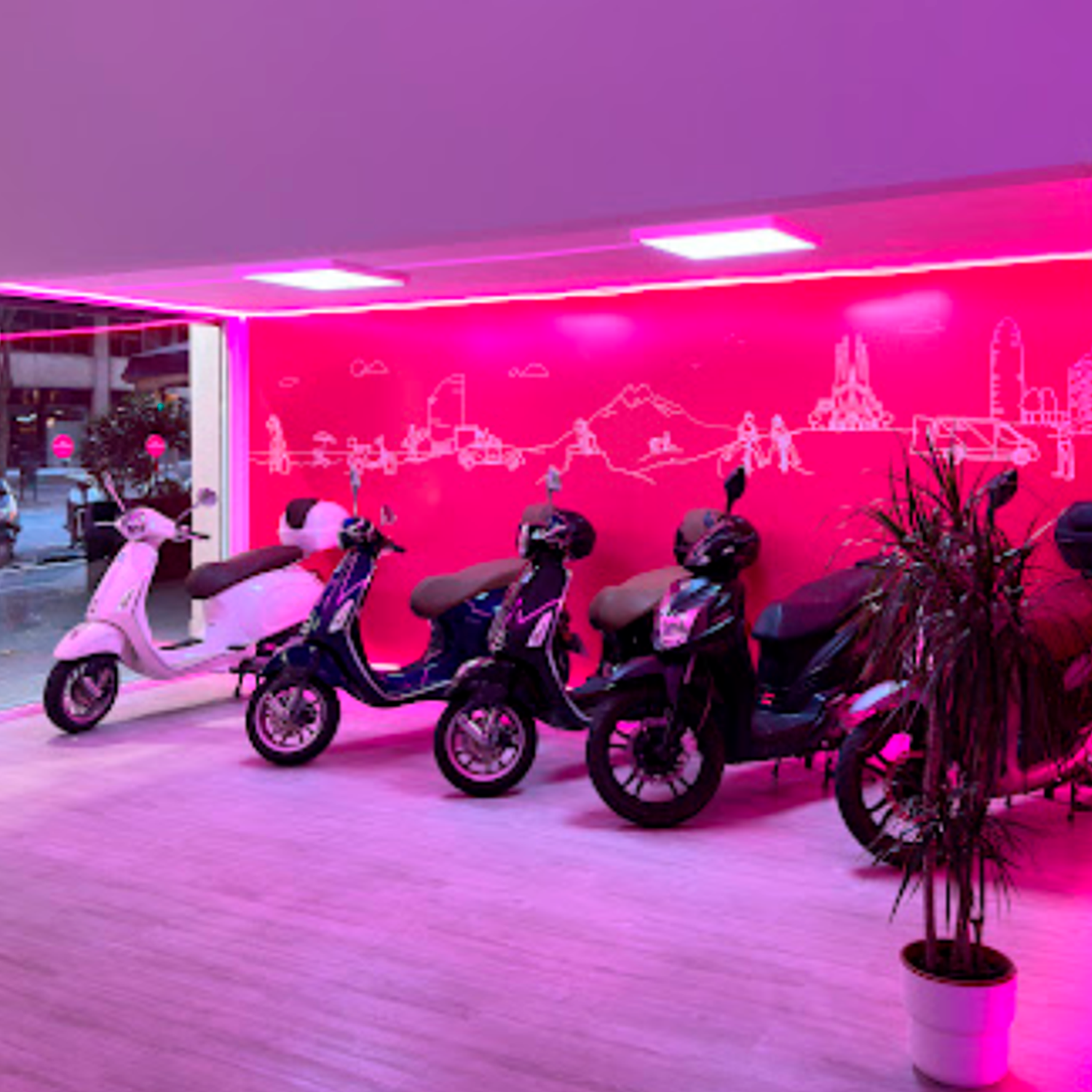 Diseño Gráfico - Imagen 3